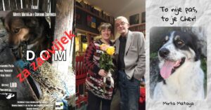 Dom za zauvijek i To nije pas, to je Cher! u Stubičkim Toplicama